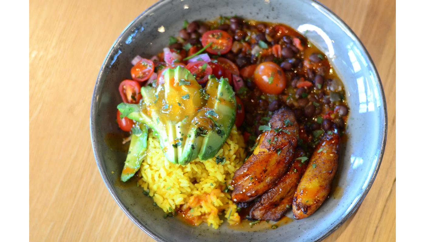 Casado Bowl