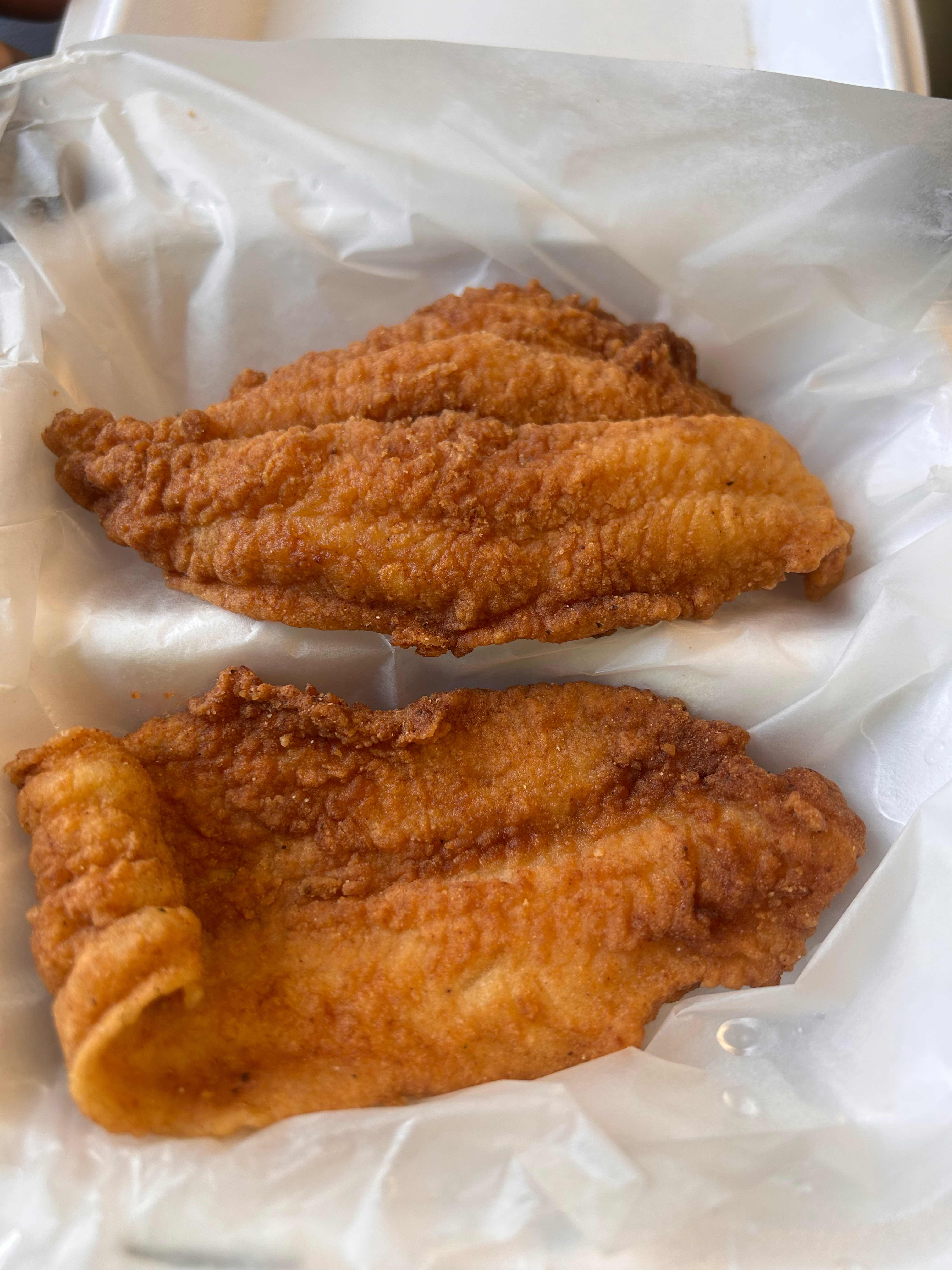 Fish Only