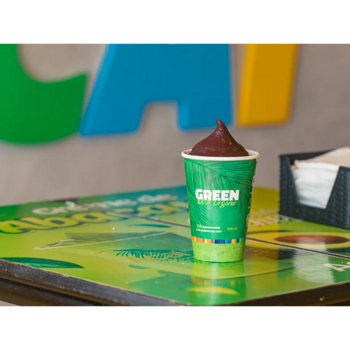 Açaí Green Orgânico 300ml (Açaí Green Orgânico)