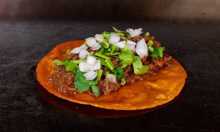 Birria Taco
