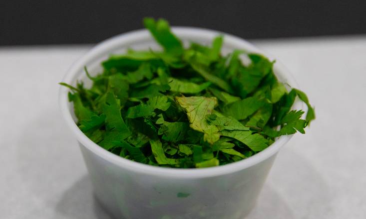 Cilantro