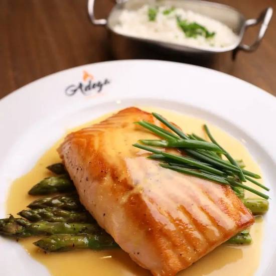 Salmon
