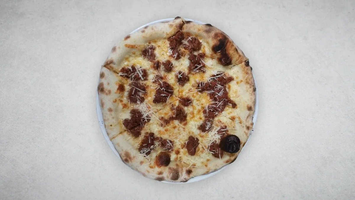Bolognese velika