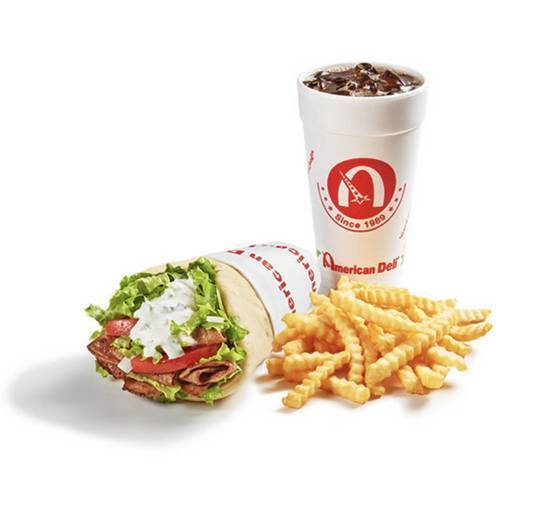 Chicken Gyro and Fries Combo