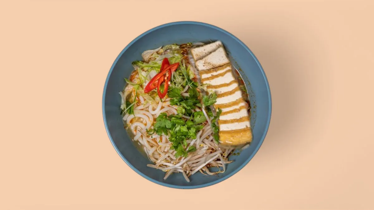 Spicy Tofu Udon (S25B)