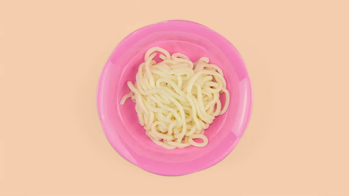 Udon Nudeln