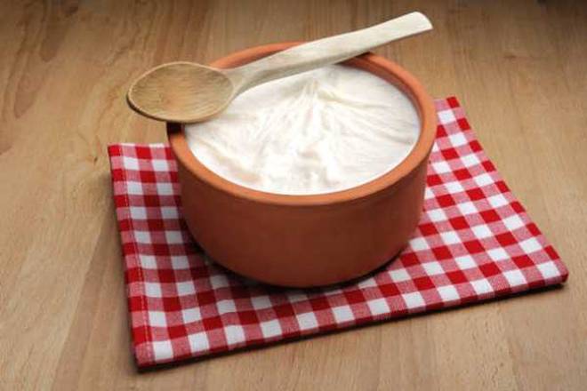 Yogurt
