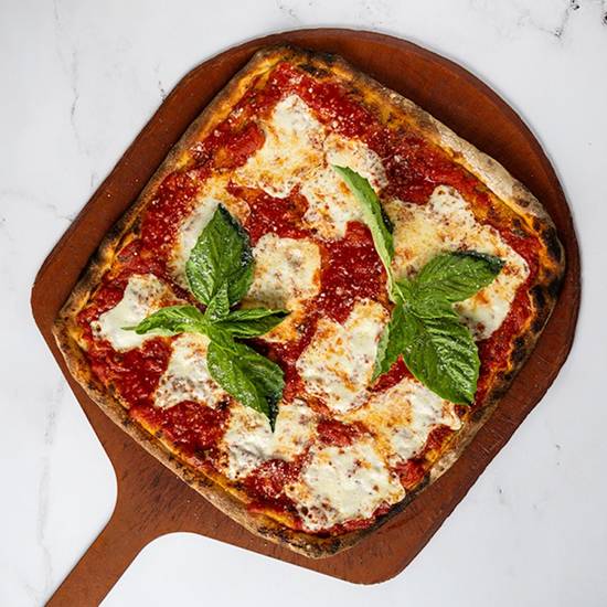 The Square Margherita 16"