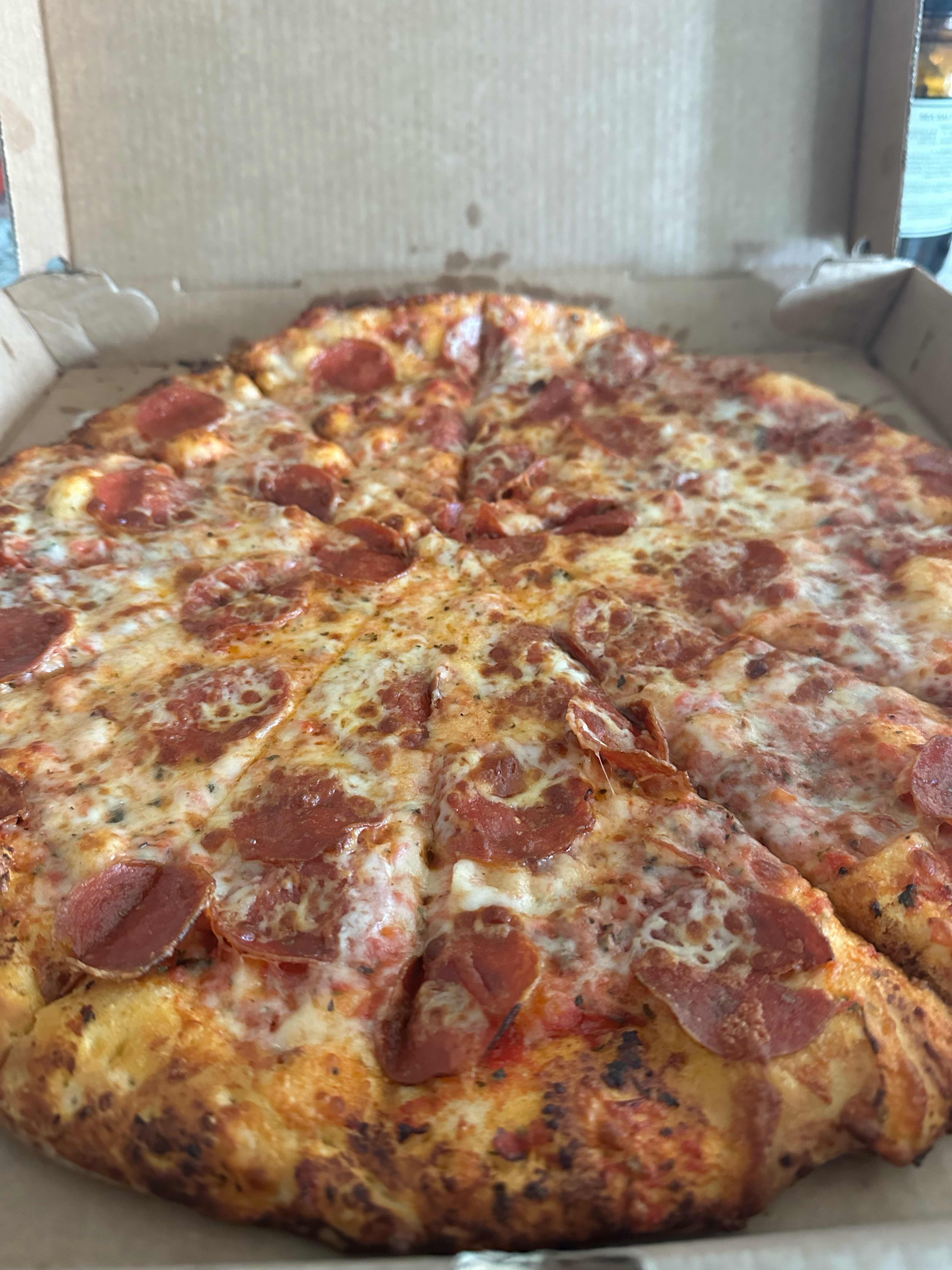 Plain Pizza (Large)