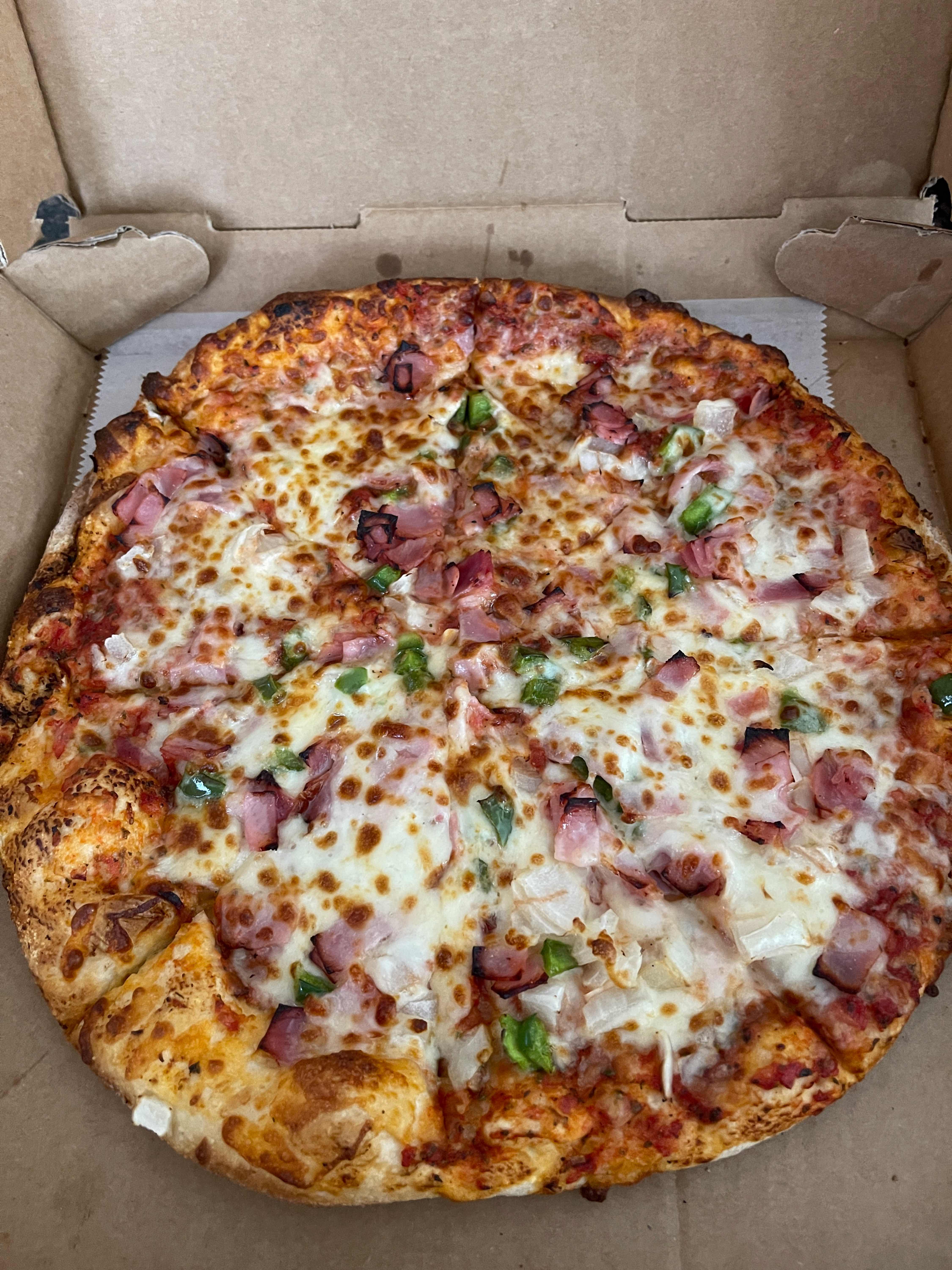 Plain Pizza (Medium)