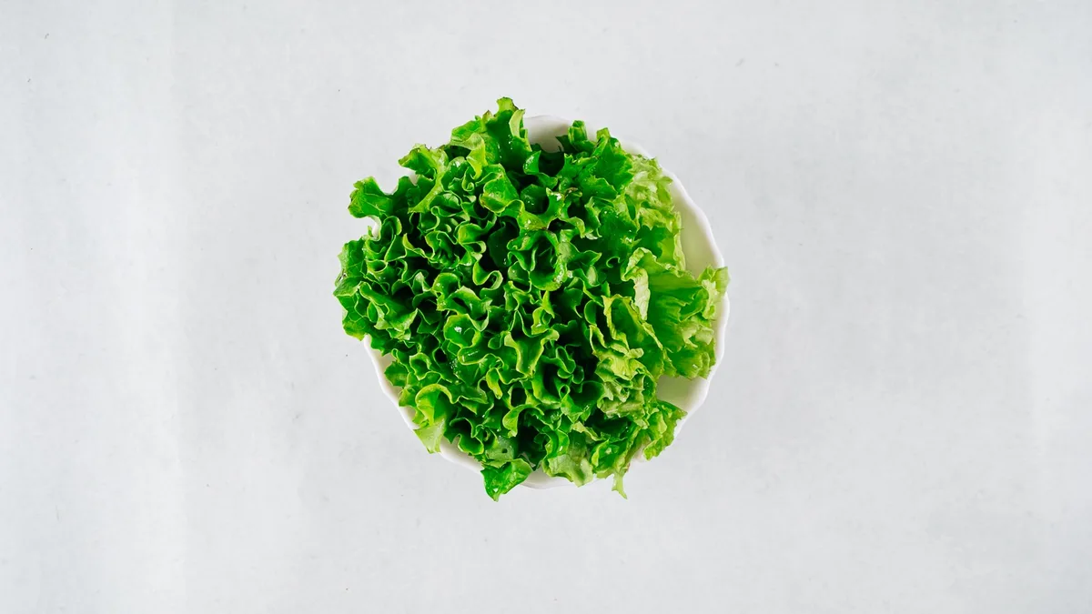 Zelena salata