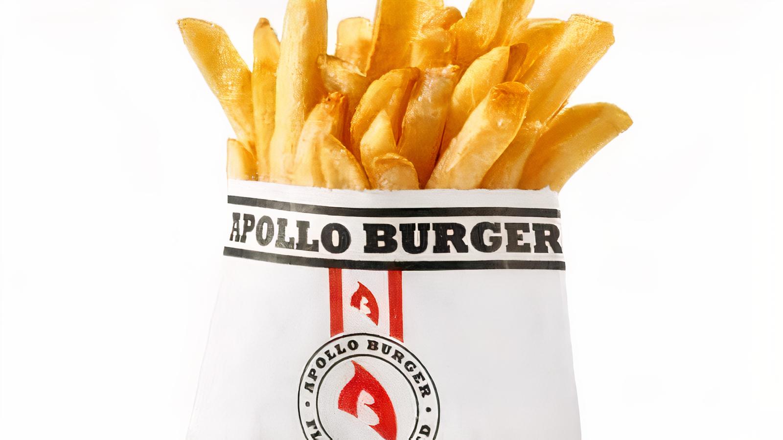 Regular French Fries