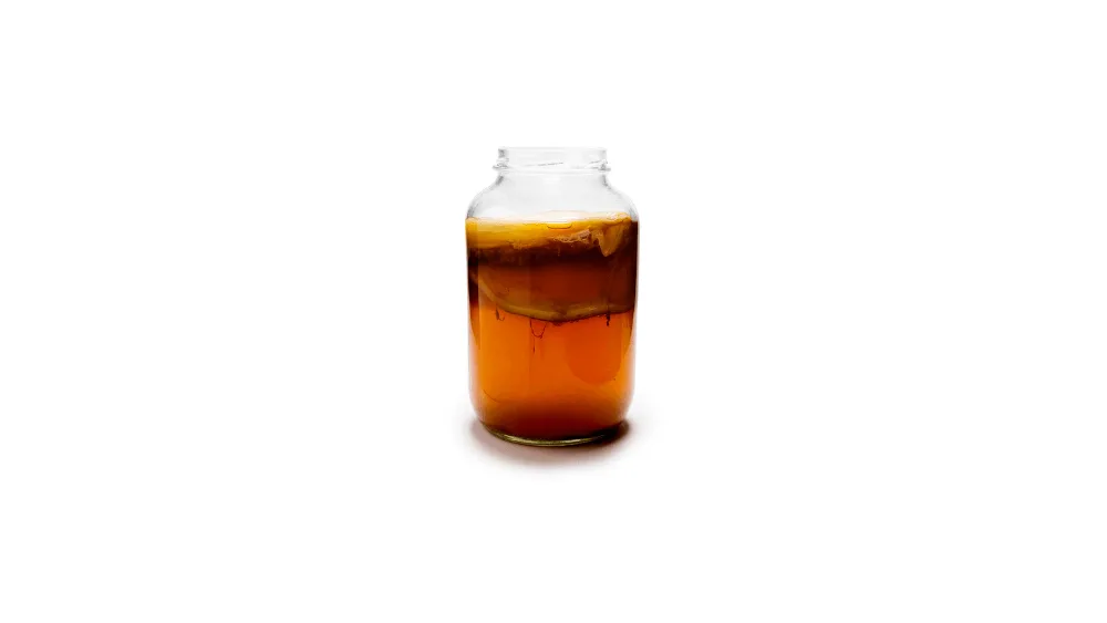 Kombucha