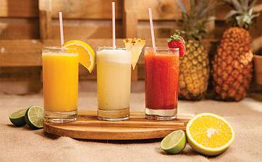 Suco Natural de Graviola 500ml