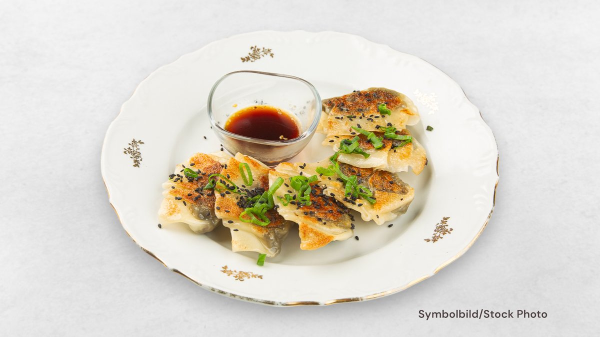 Gyoza Fleischtaschen