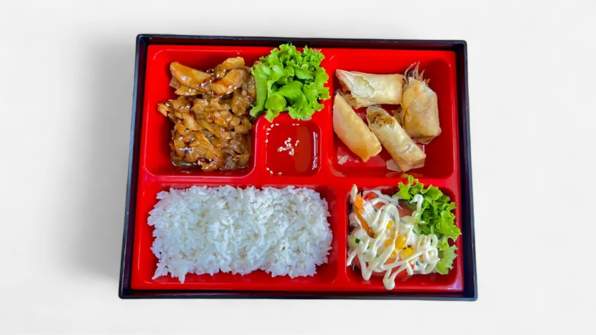 BENTO Chicken teriyaki, Salad, Spring roll