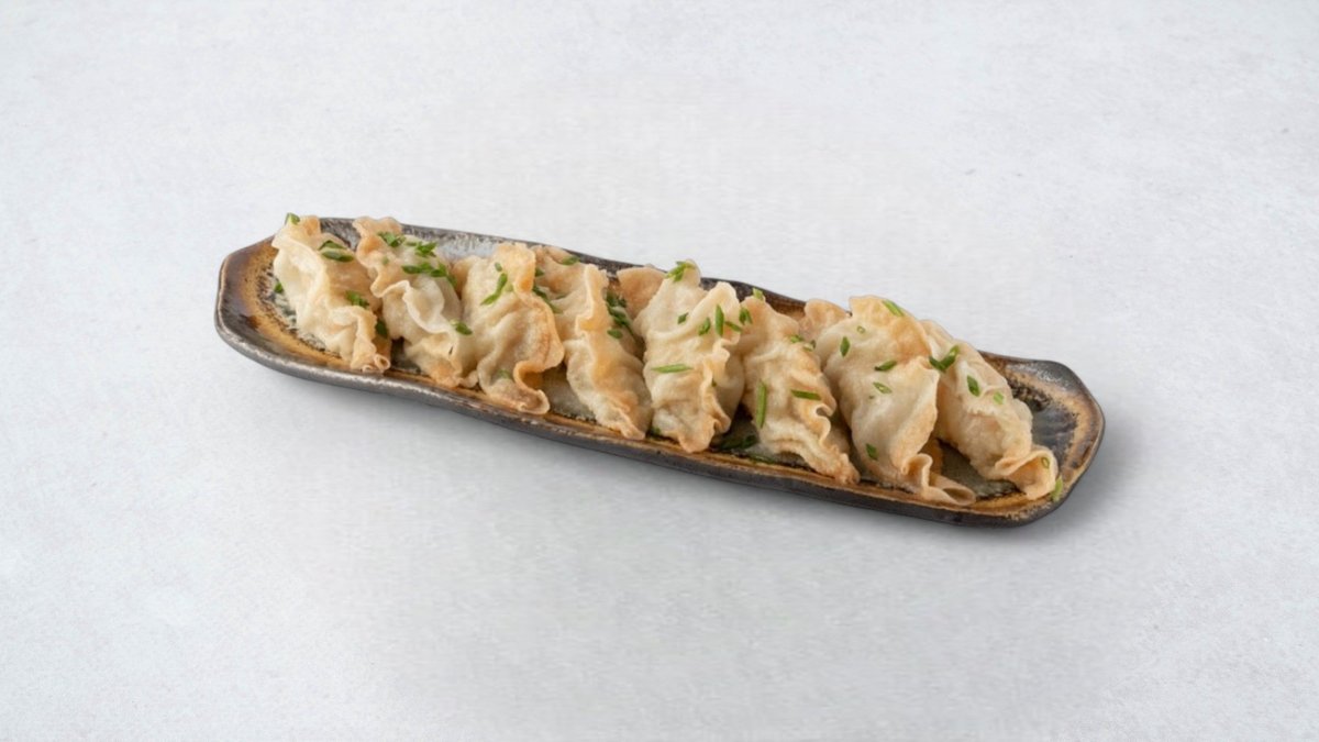 Salmon gyoza
