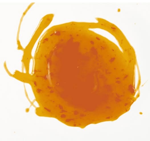 Mango Habanero Dip Cup
