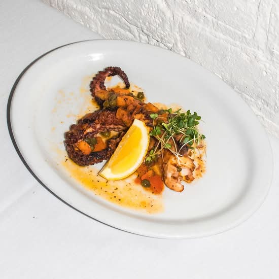 OCTOPUS