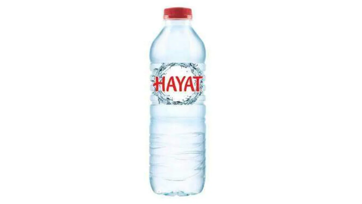 Hayat Wasser Still 0,5 l