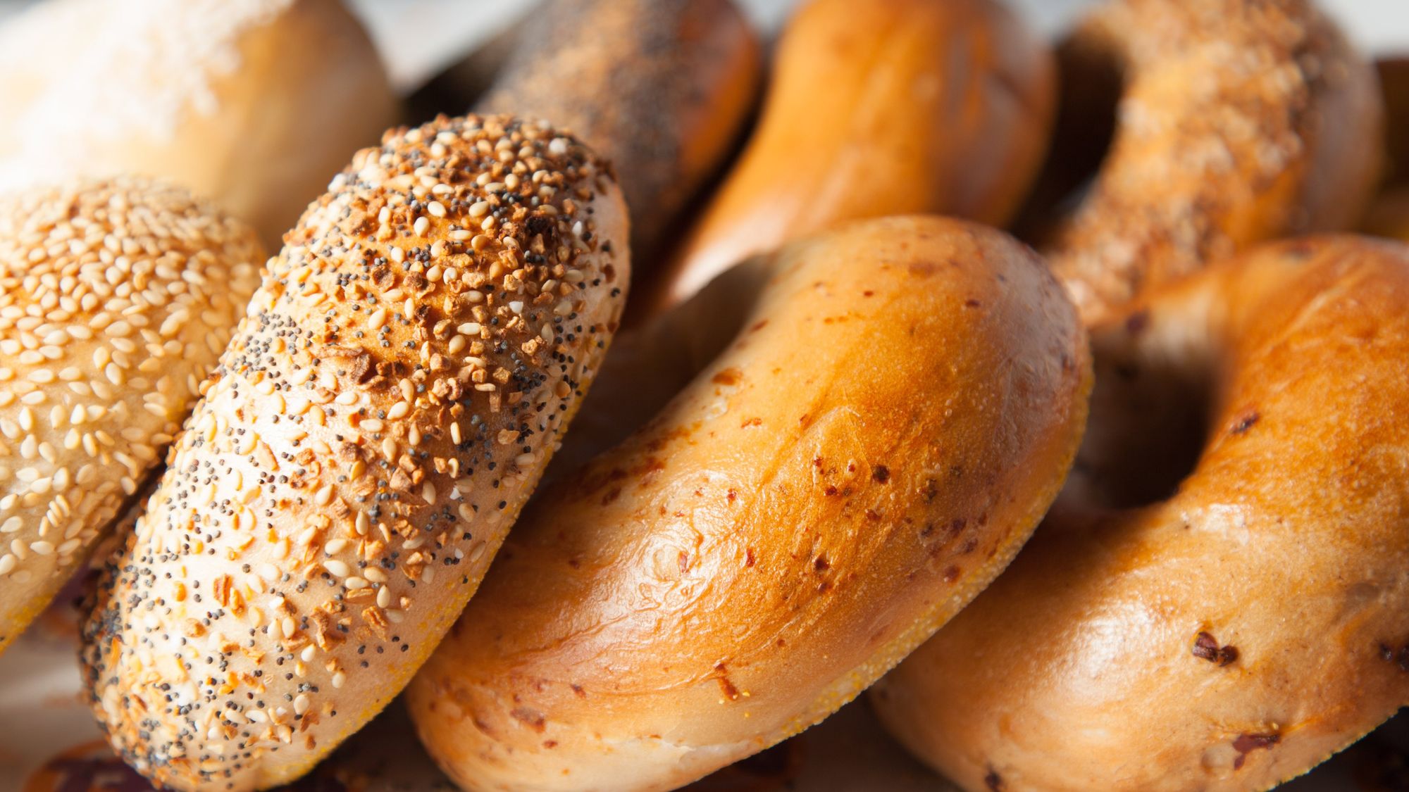 Bagel Dozen -Preselected