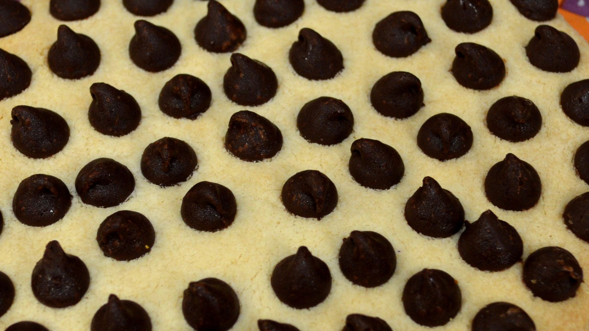 Chocolate Chip Cookie