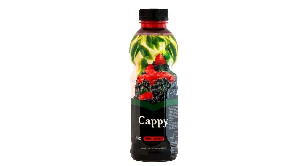 Cappy Forrest Berries  0.5l
