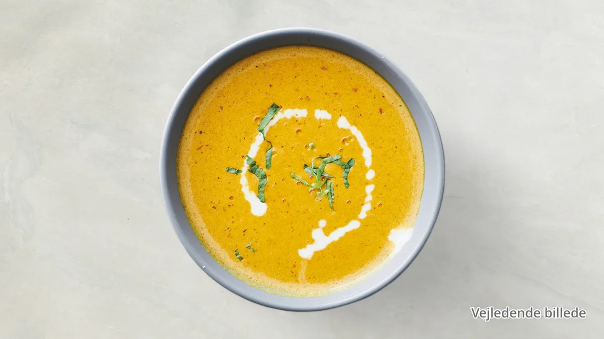 Hjemmelavet Indisk Karry Suppe med kylling