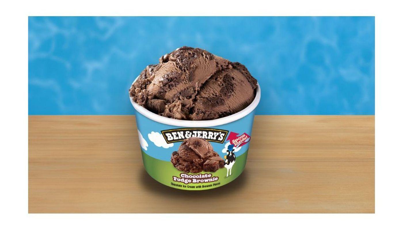 Ben and Jerry's Choc Fudge Brownie 100mL