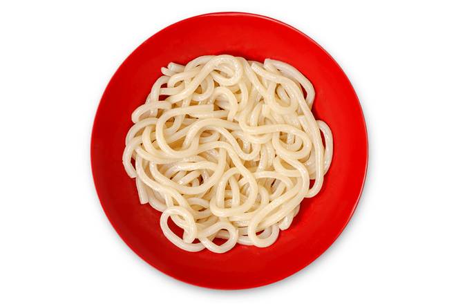 Side Udon Noodles
