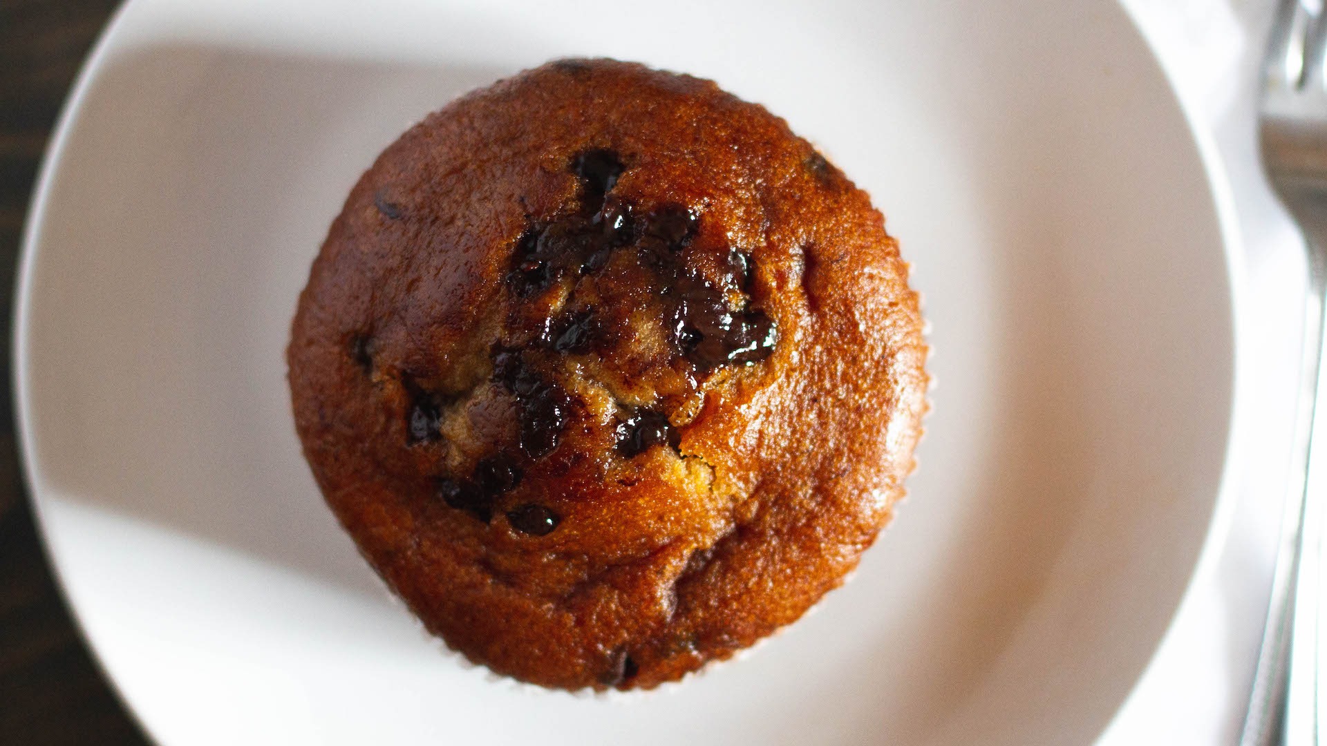 Jumbo Muffin