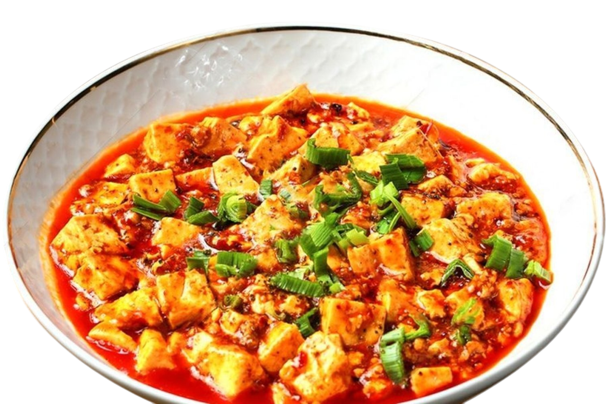 Sichuan Mo Po Tofu 四川麻婆豆腐🌶️