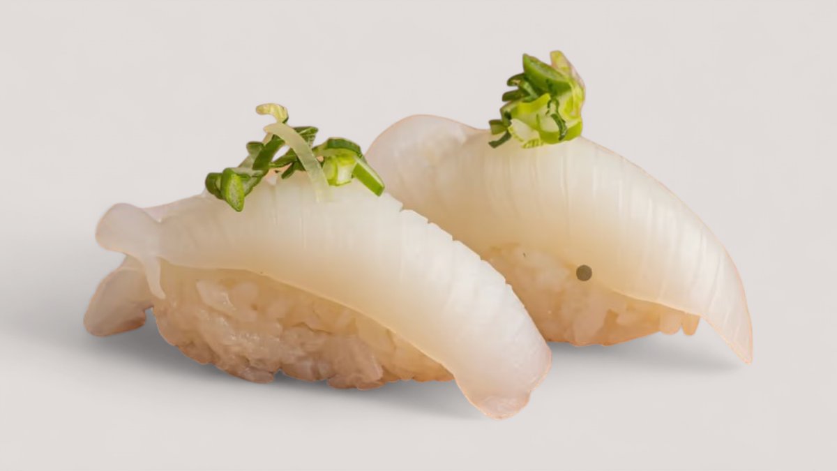 S22. IKA Nigiri