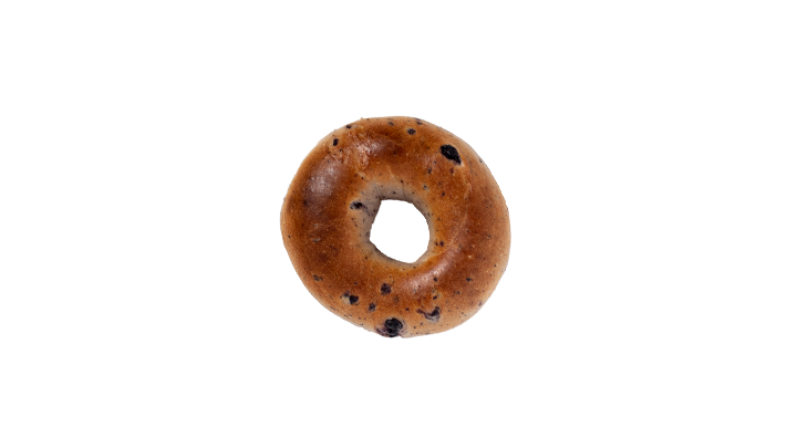 Blueberry Bagel