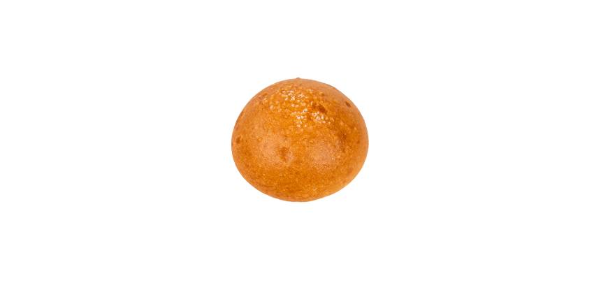 Plain Salt Bagel