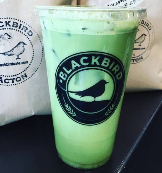 ICED MATCHA GREEN TEA LATTE, 24oz