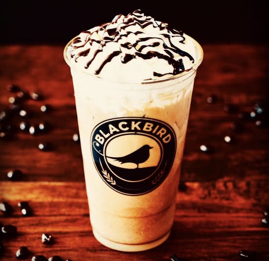 ICED PEPPERMINT MOCHA LATTE with Cold Foam 24oz