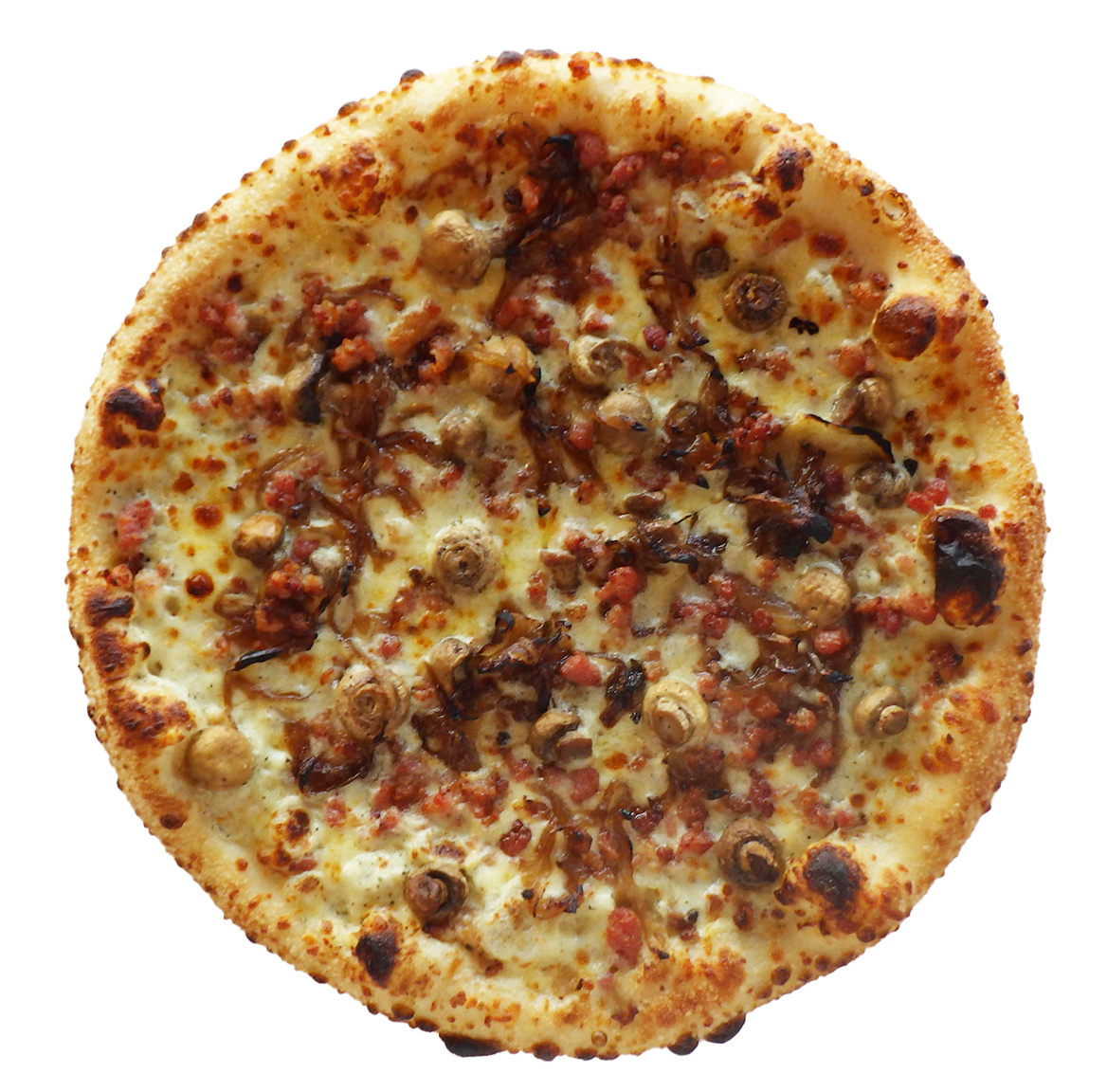 The Fourth Majestic - 13"