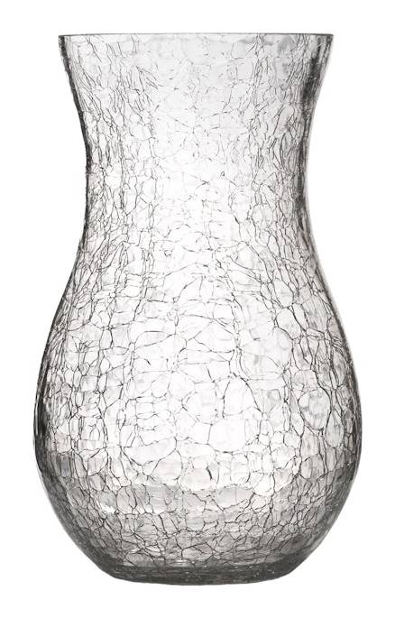 Bloom Haus Medium Crackle Vase