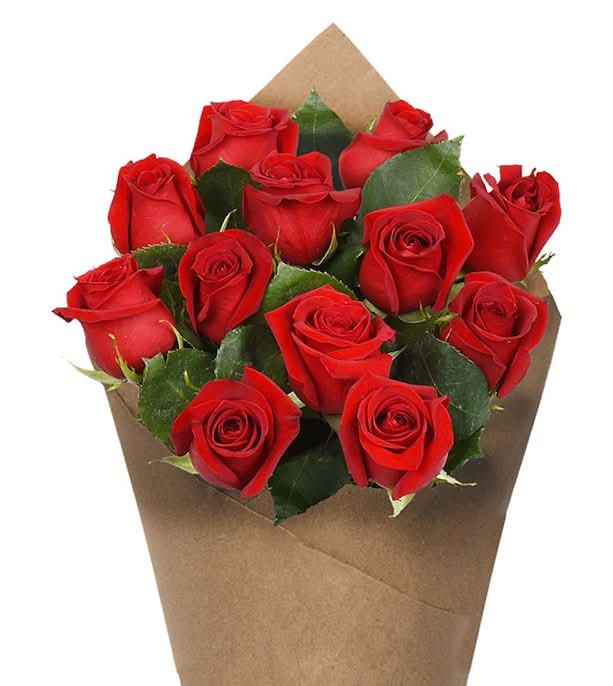 Dozen Roses - Red