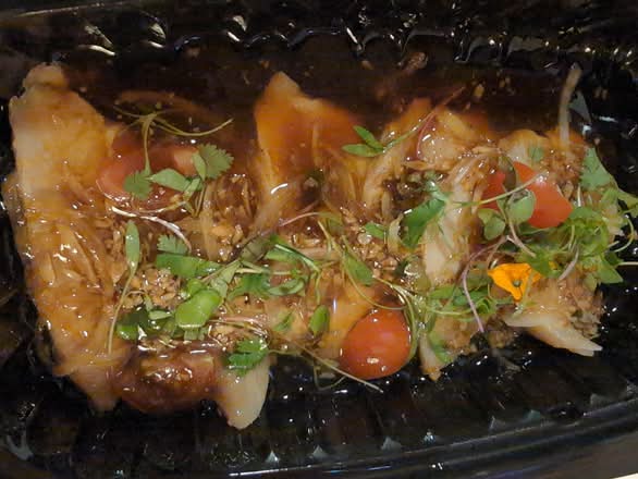 Screaming Yellowtail