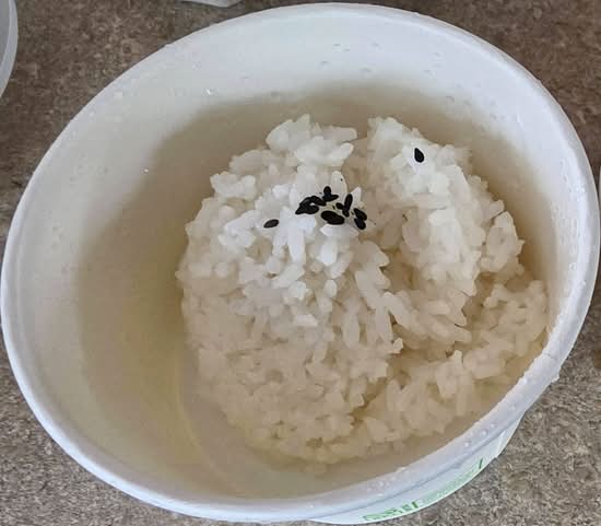 White Rice