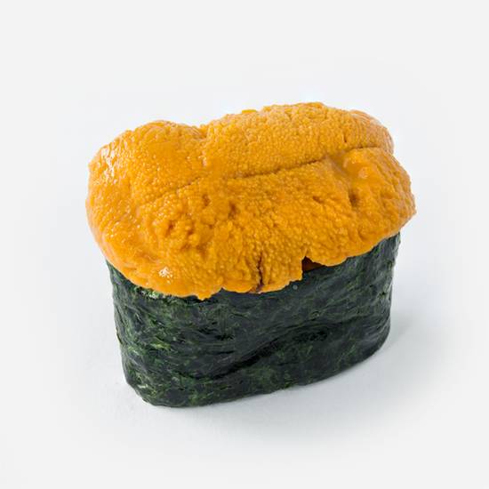 Uni - Sea Urchin