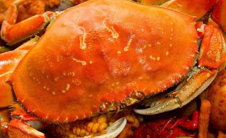 Dungness Crab with No Seasoning