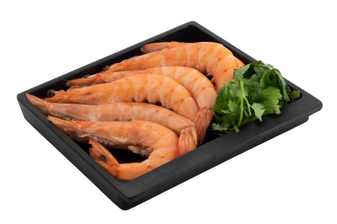 Shrimp