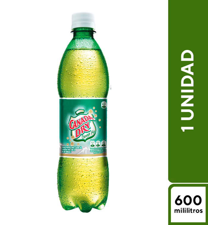 Ginger Ale Light 600 ml