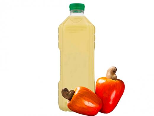 Suco de Caju 300ml