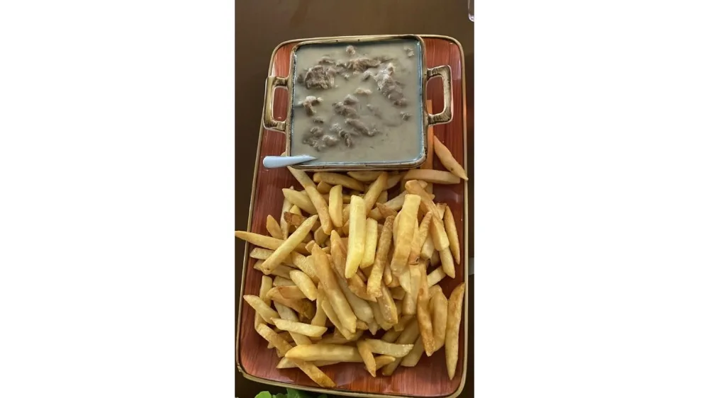 Beefstroganoff With French Fries