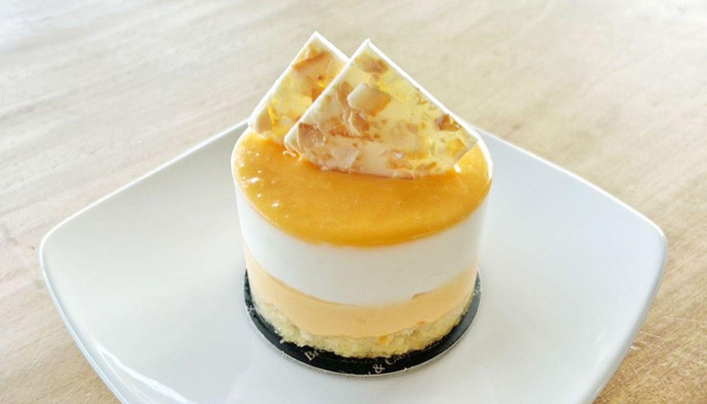 Mango Coconut Mousse (GF)