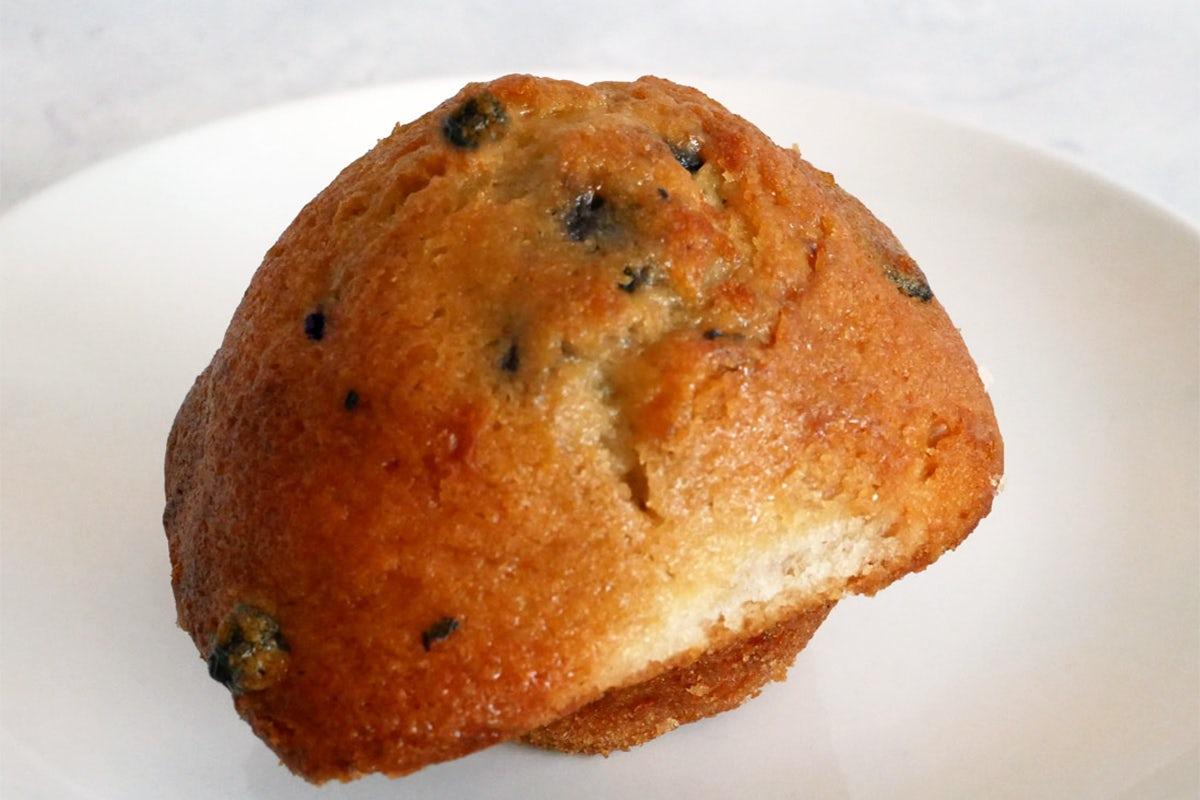 Blueberry Muffin